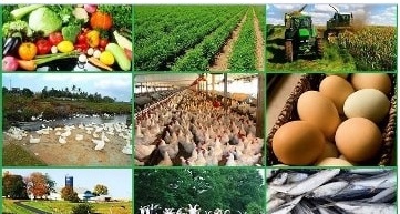 Agro